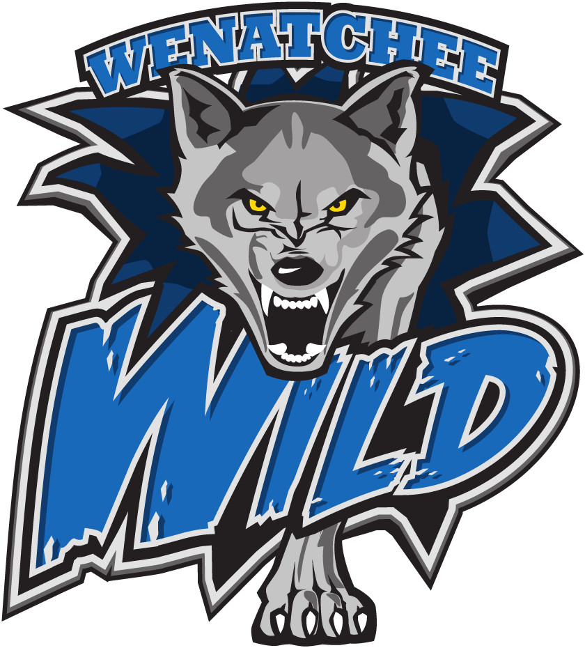 Wenatchee Wild 2015-Pres Primary Logo iron on transfers for clothing